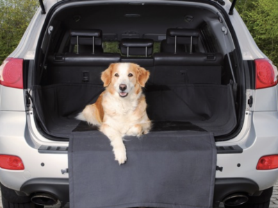 Trixie - Постелка за кола 164х125cm