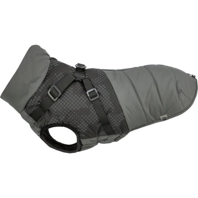 viber_image_2026-01-20_20-20-33-711