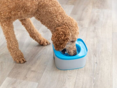 КУПА ЗА ПЪТ С ФИКСАЦИЯ ПРОТИВ РАЗЛИВАНЕ 21Х11Х21СМ.