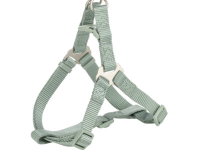 НАГРЪДНИК SAGE