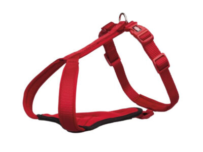 НАГРЪДНИК-Y RED