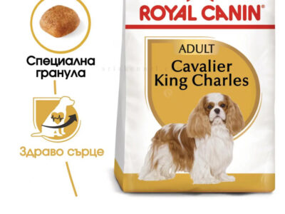 ROYAL CANIN Adult Cavalier King Charles Spaniel - 1.500 кг