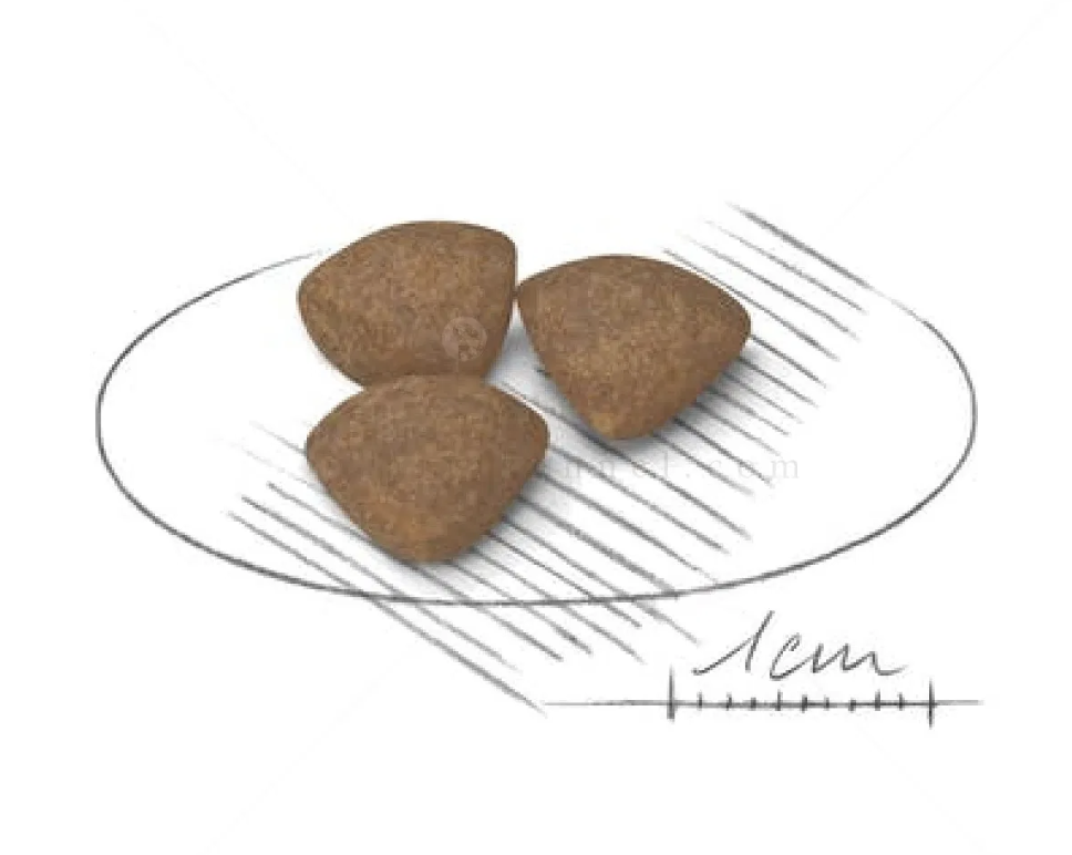 Screenshot 2026-02-17 at 17.59.46