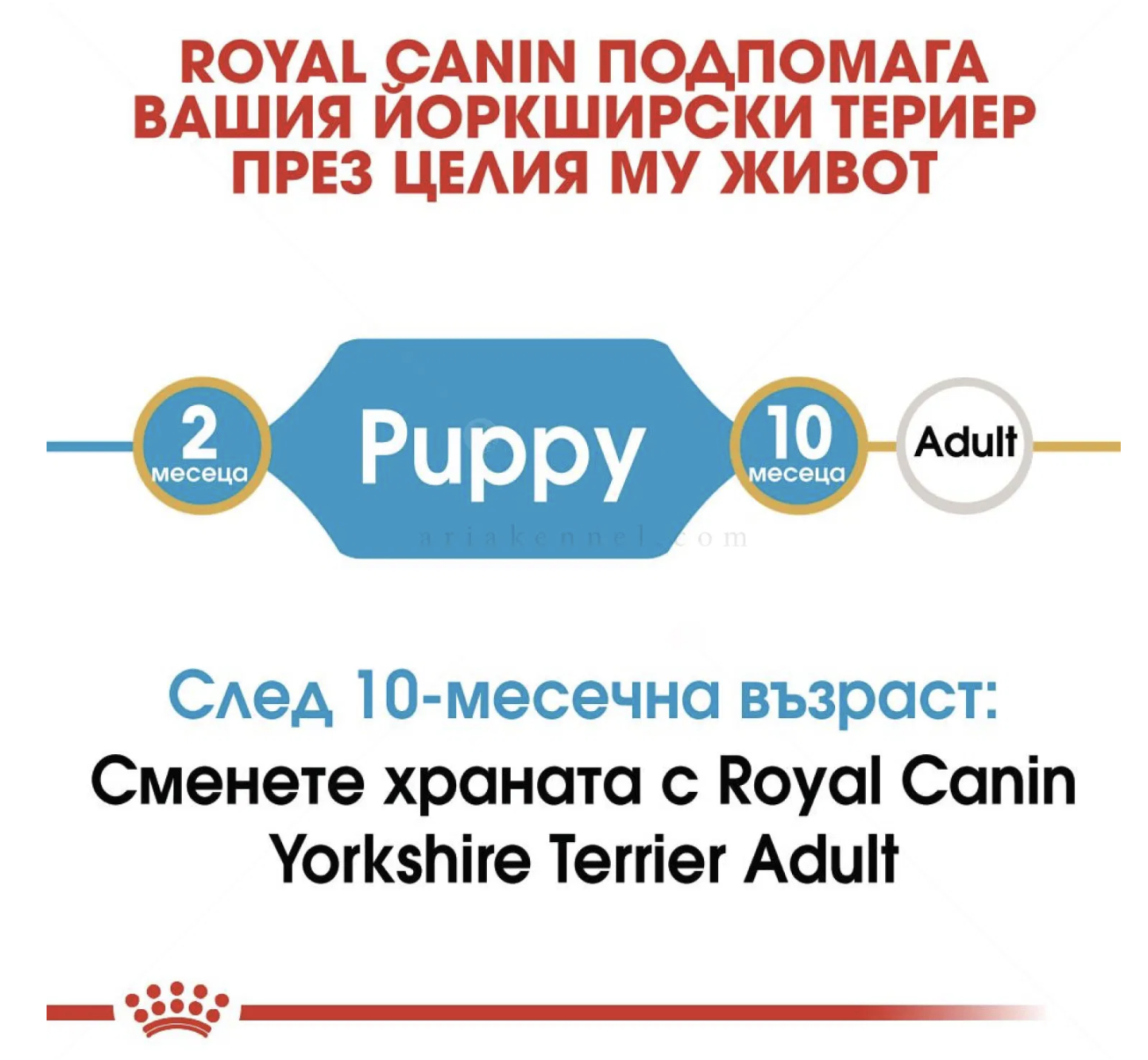 Screenshot 2026-02-17 at 18.38.31