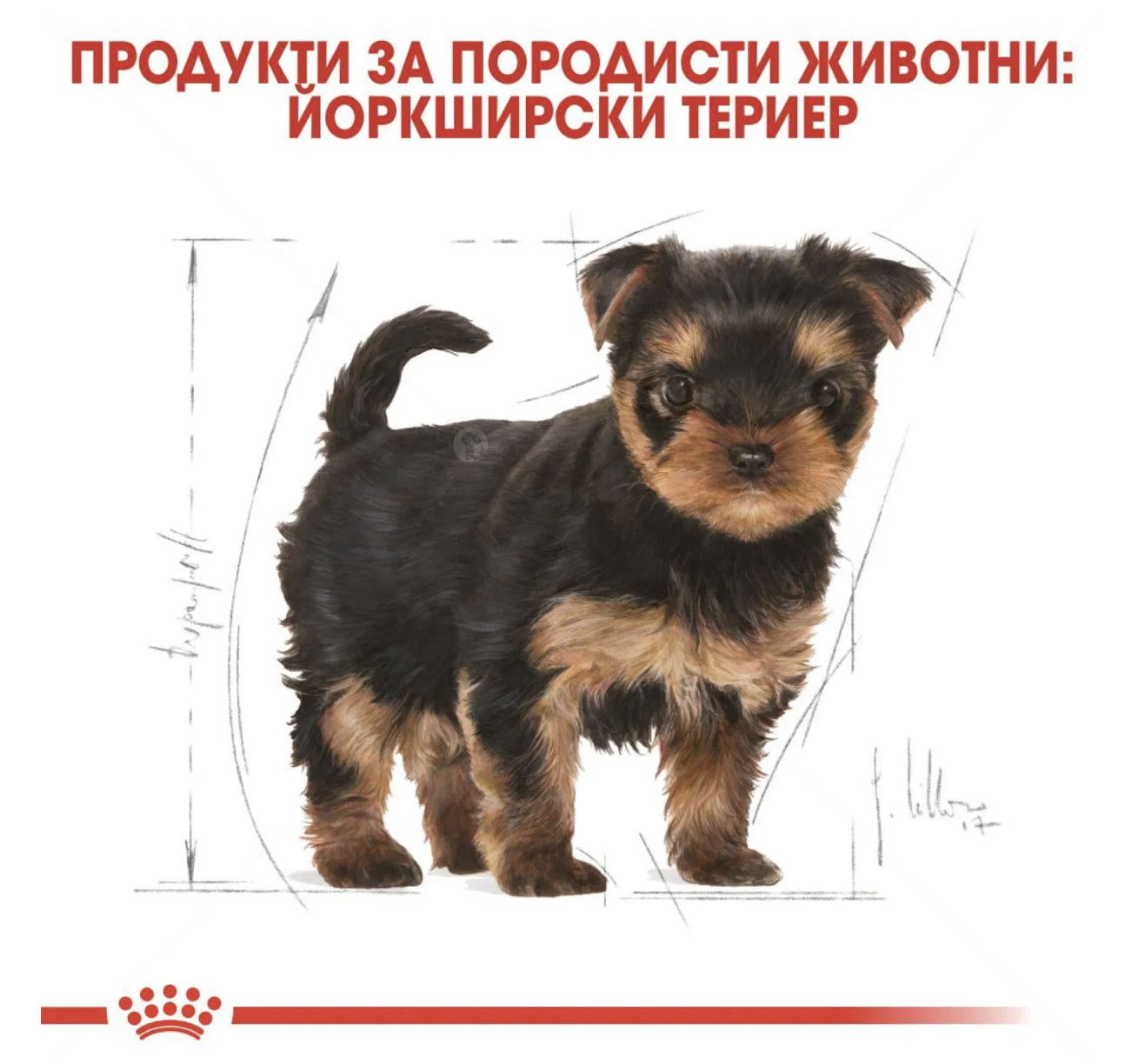 Screenshot 2026-02-17 at 18.38.51