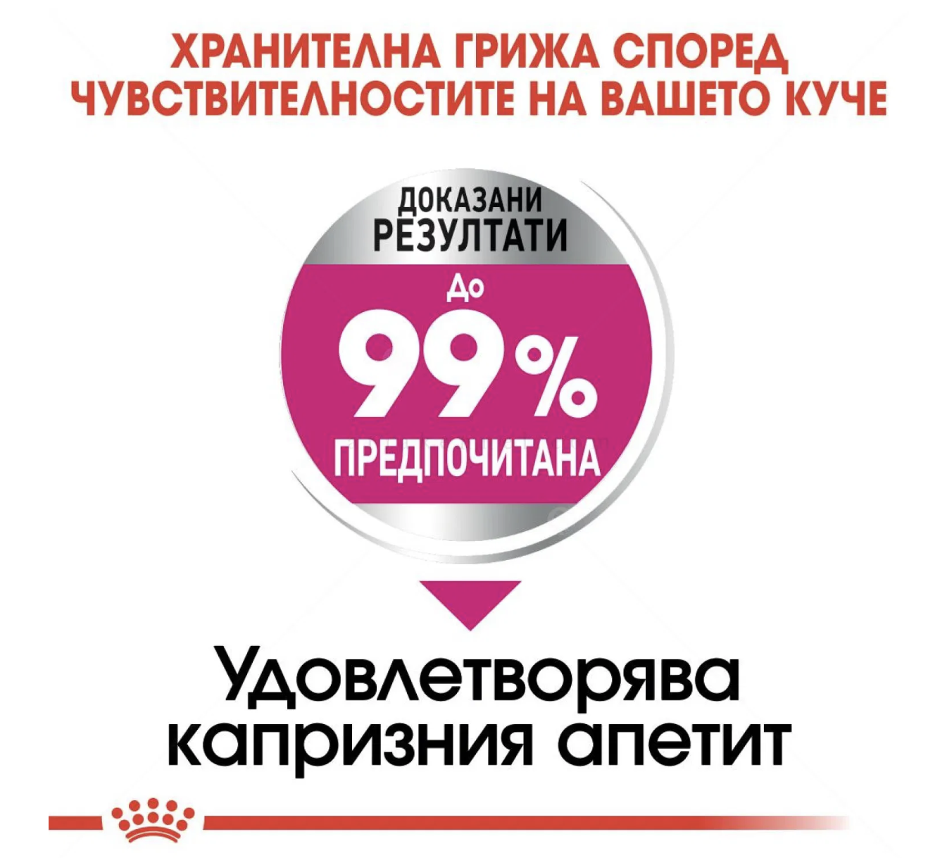 Screenshot 2026-02-17 at 20.59.09