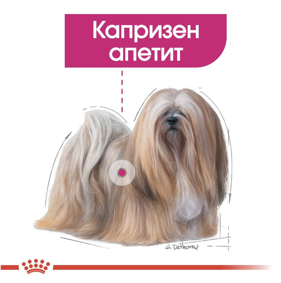 Screenshot 2026-02-17 at 20.59.21