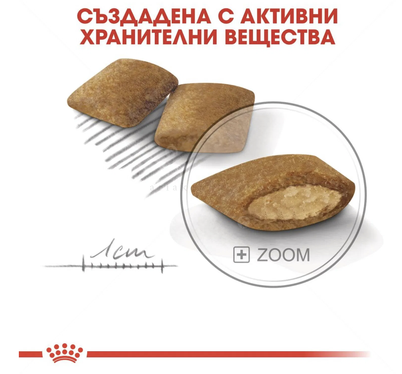 Screenshot 2026-02-17 at 20.59.32