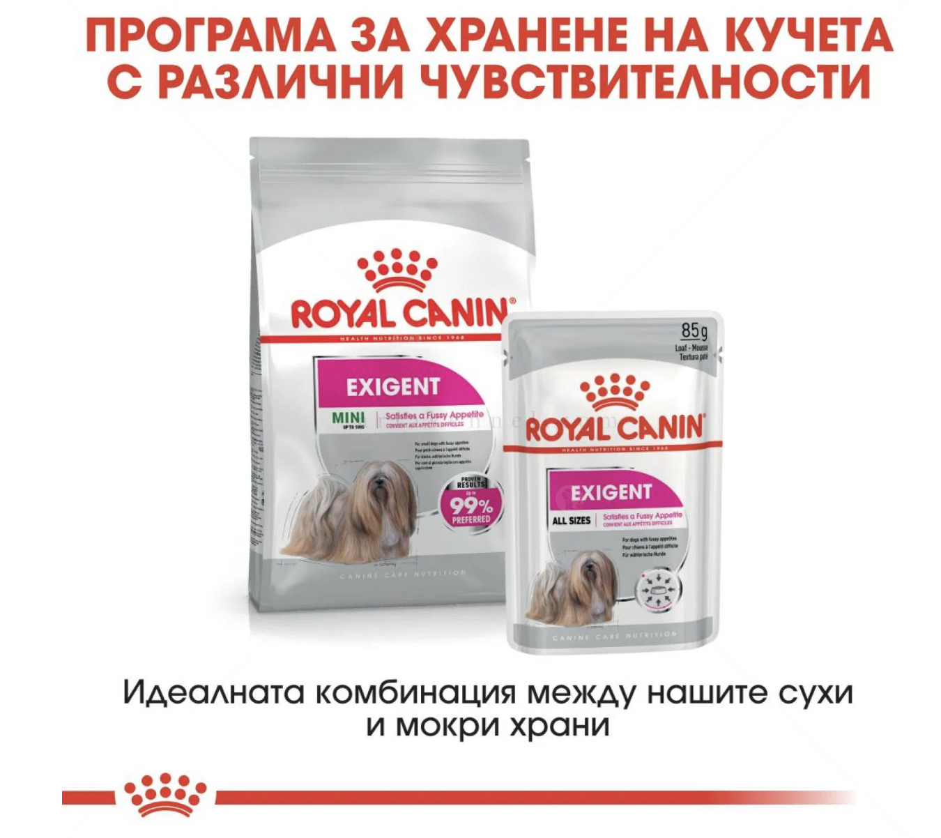 Screenshot 2026-02-17 at 21.00.24