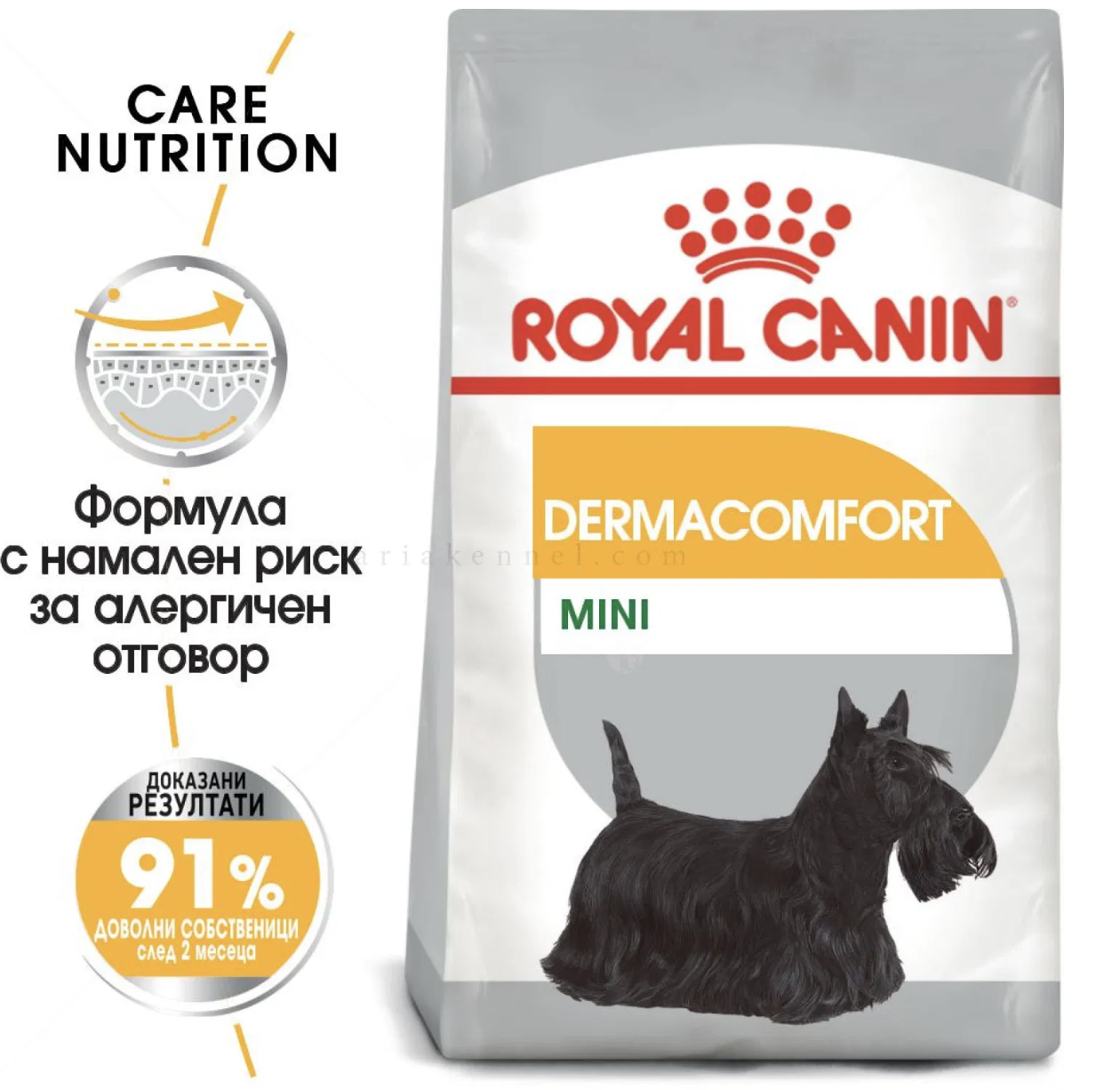 Screenshot 2026-02-17 at 21.05.10