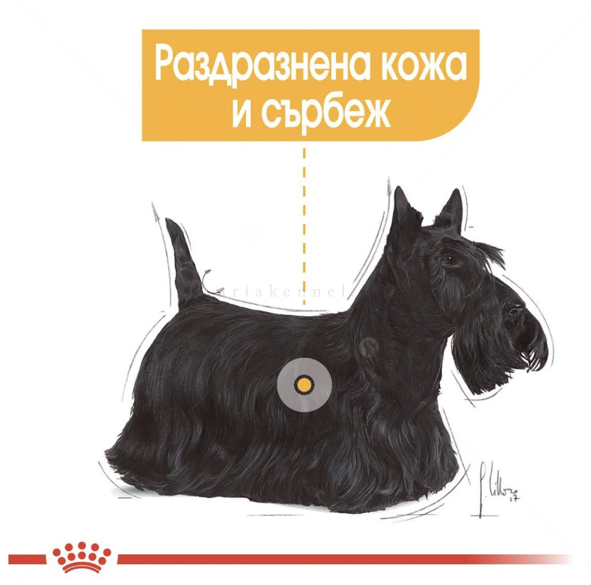 Screenshot 2026-02-17 at 21.05.23