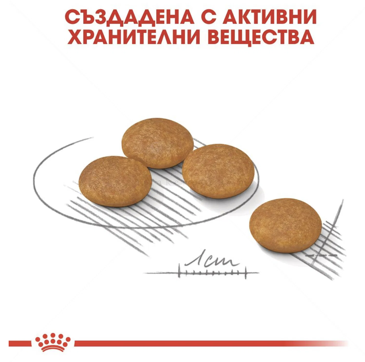 Screenshot 2026-02-17 at 21.05.48