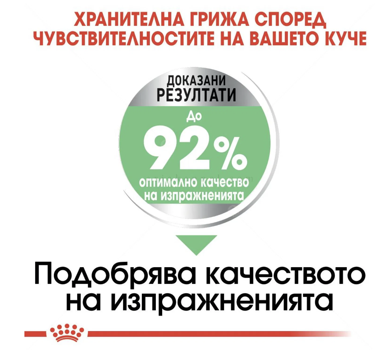 Screenshot 2026-02-17 at 21.10.18