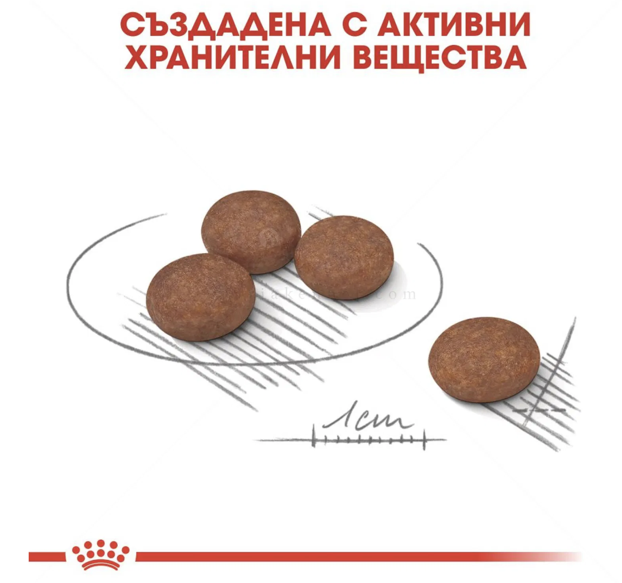 Screenshot 2026-02-17 at 21.10.44