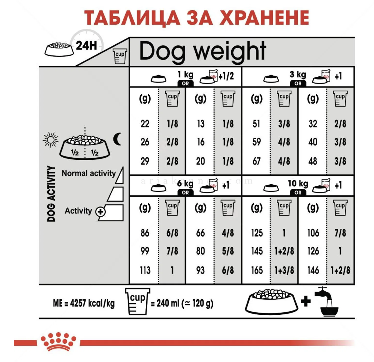 Screenshot 2026-02-17 at 21.10.55