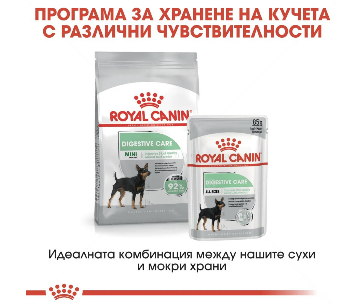 Screenshot 2026-02-17 at 21.11.19