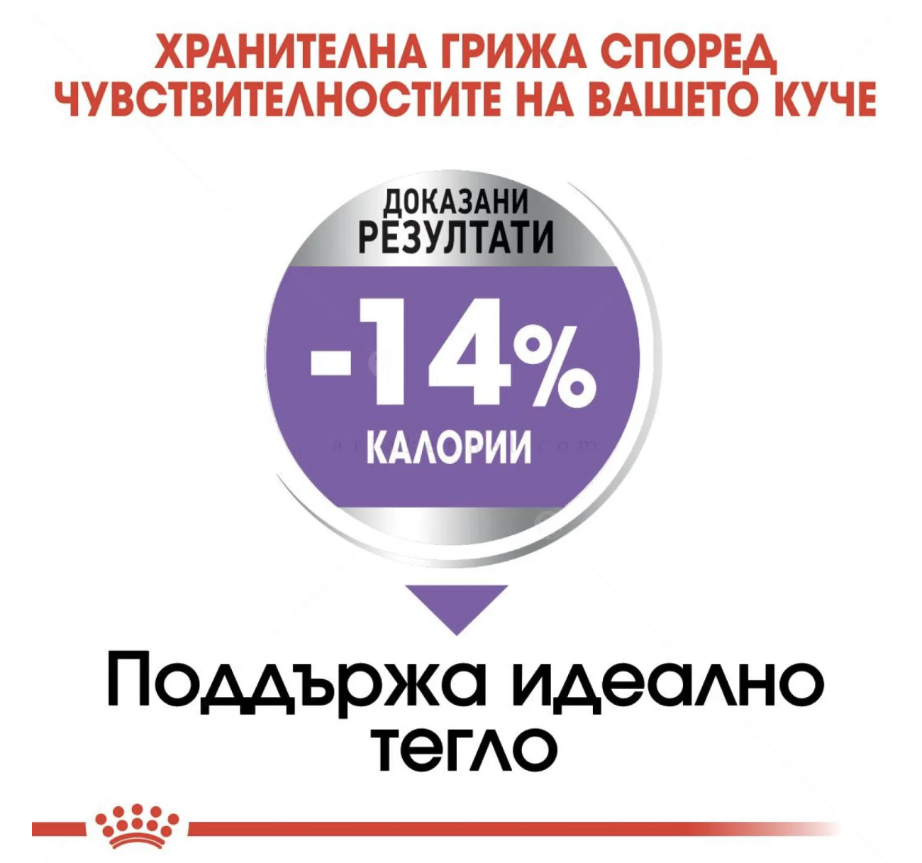 Screenshot 2026-02-17 at 21.44.48