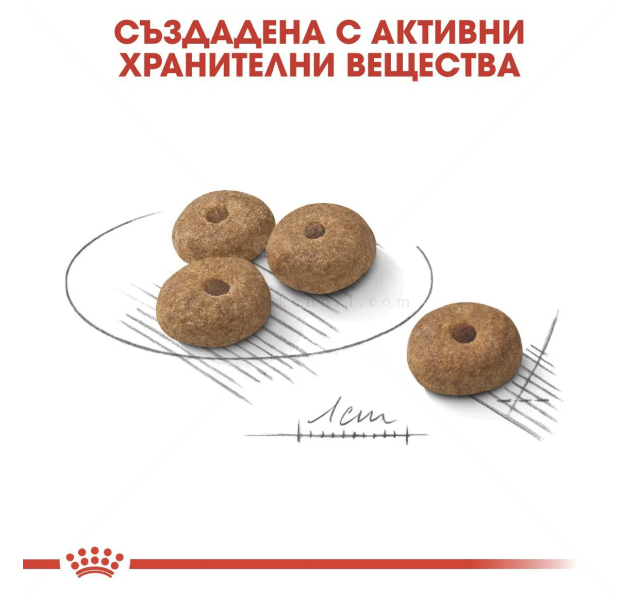 Screenshot 2026-02-17 at 21.45.14