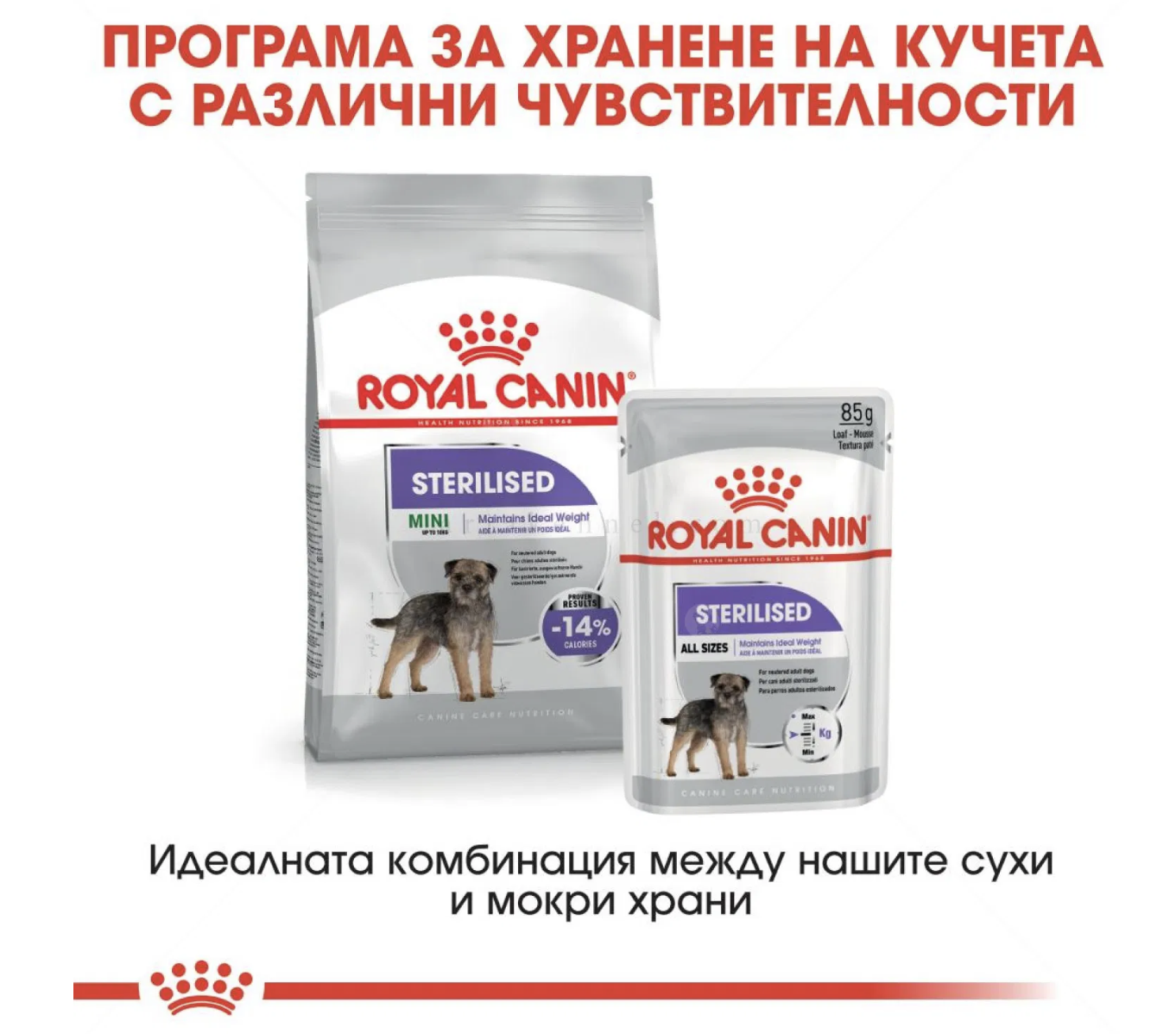 Screenshot 2026-02-17 at 21.45.49