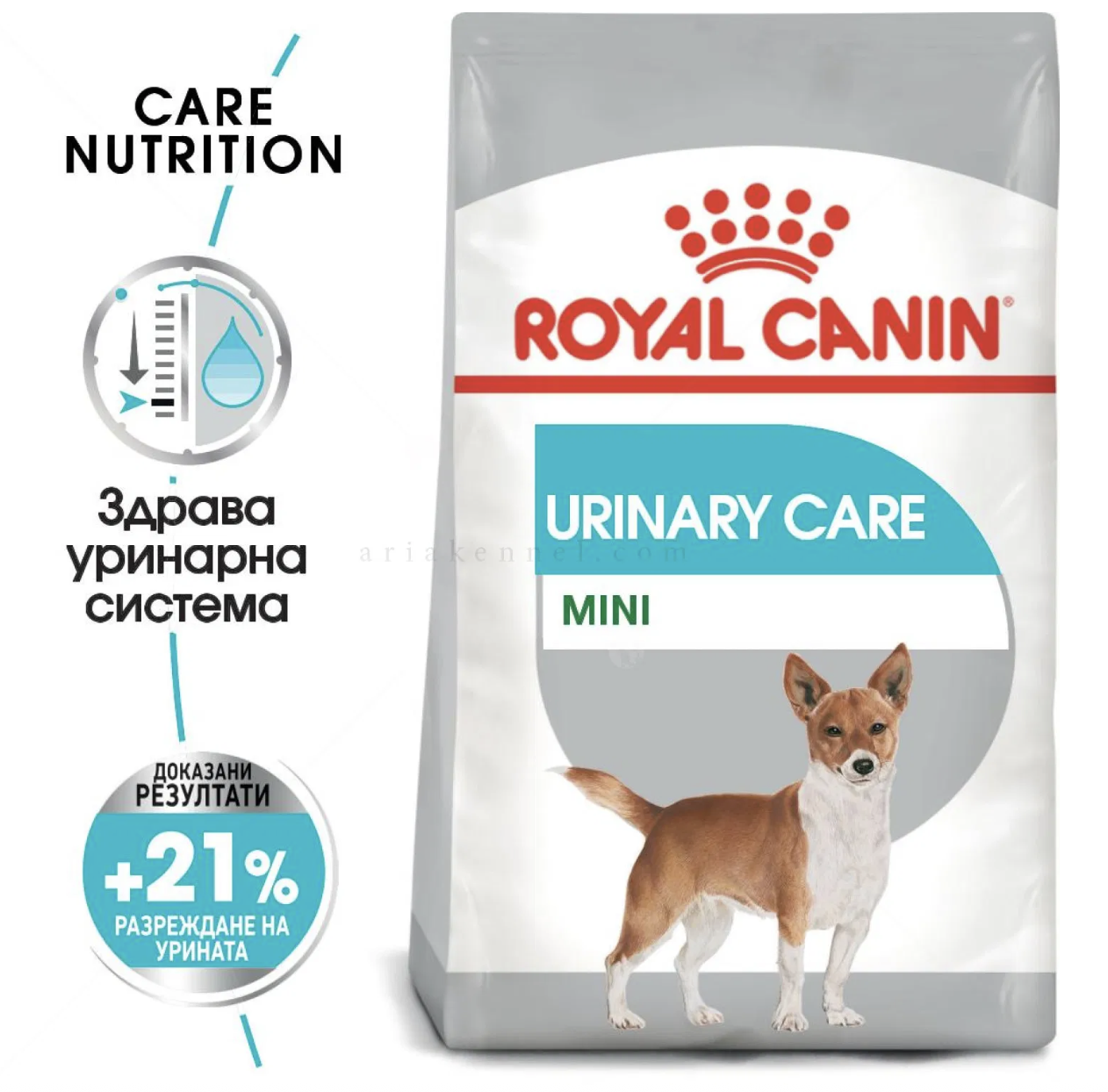 Screenshot 2026-02-17 at 21.49.09