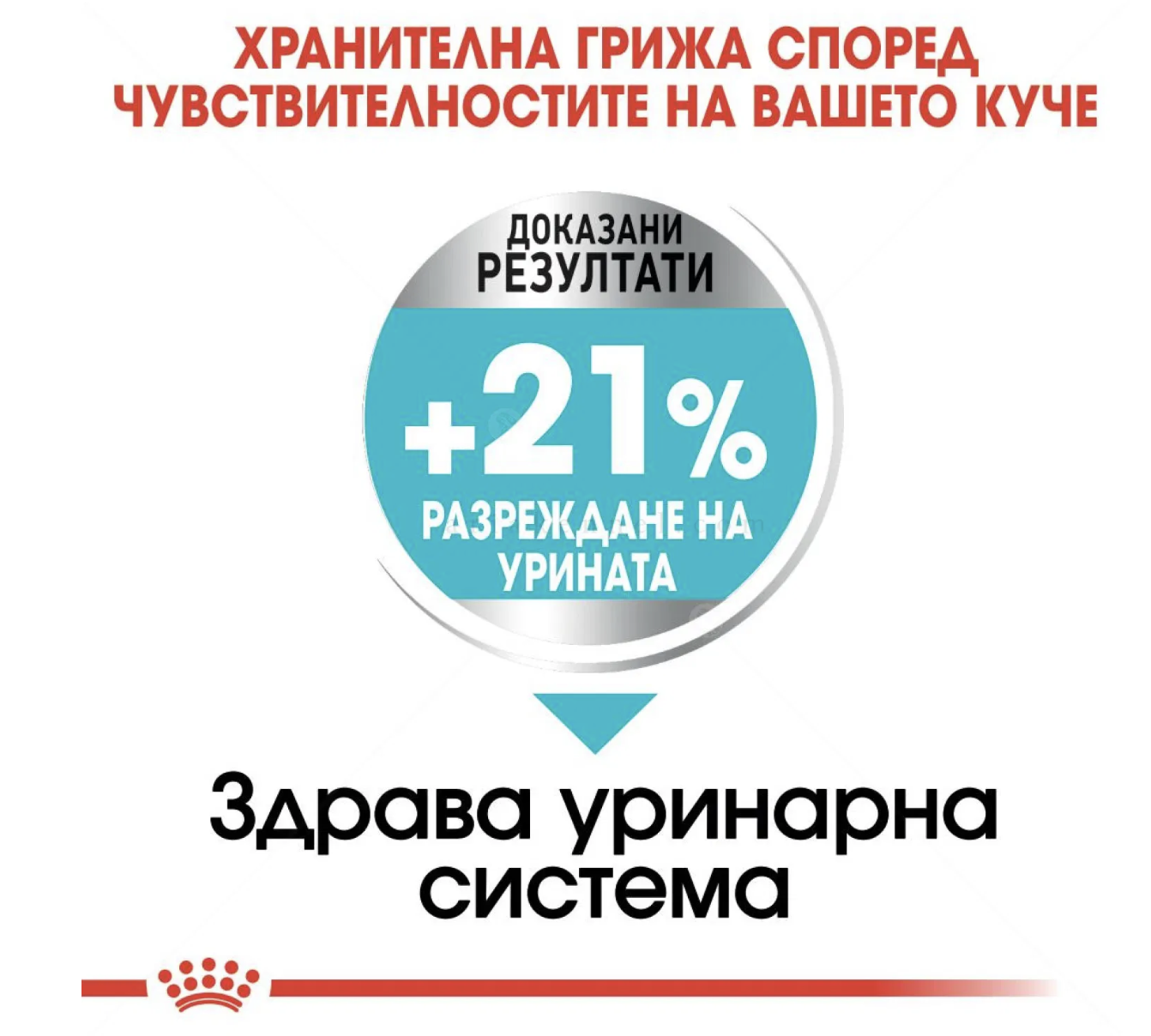 Screenshot 2026-02-17 at 21.49.23