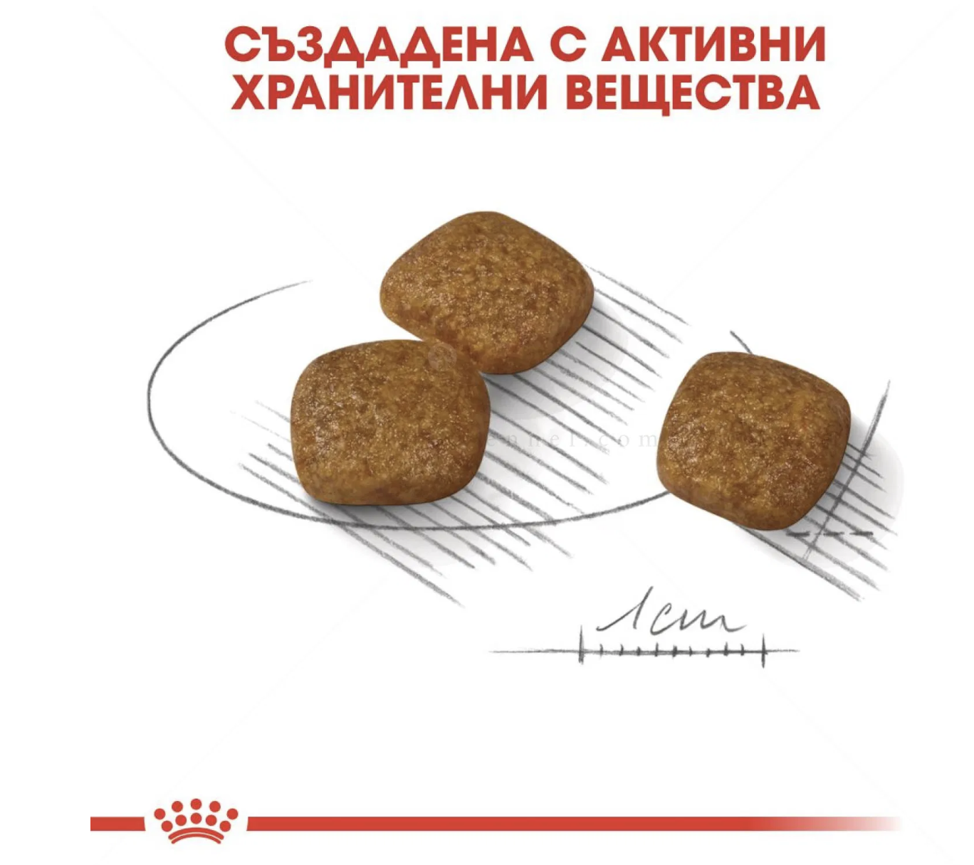 Screenshot 2026-02-17 at 21.49.47