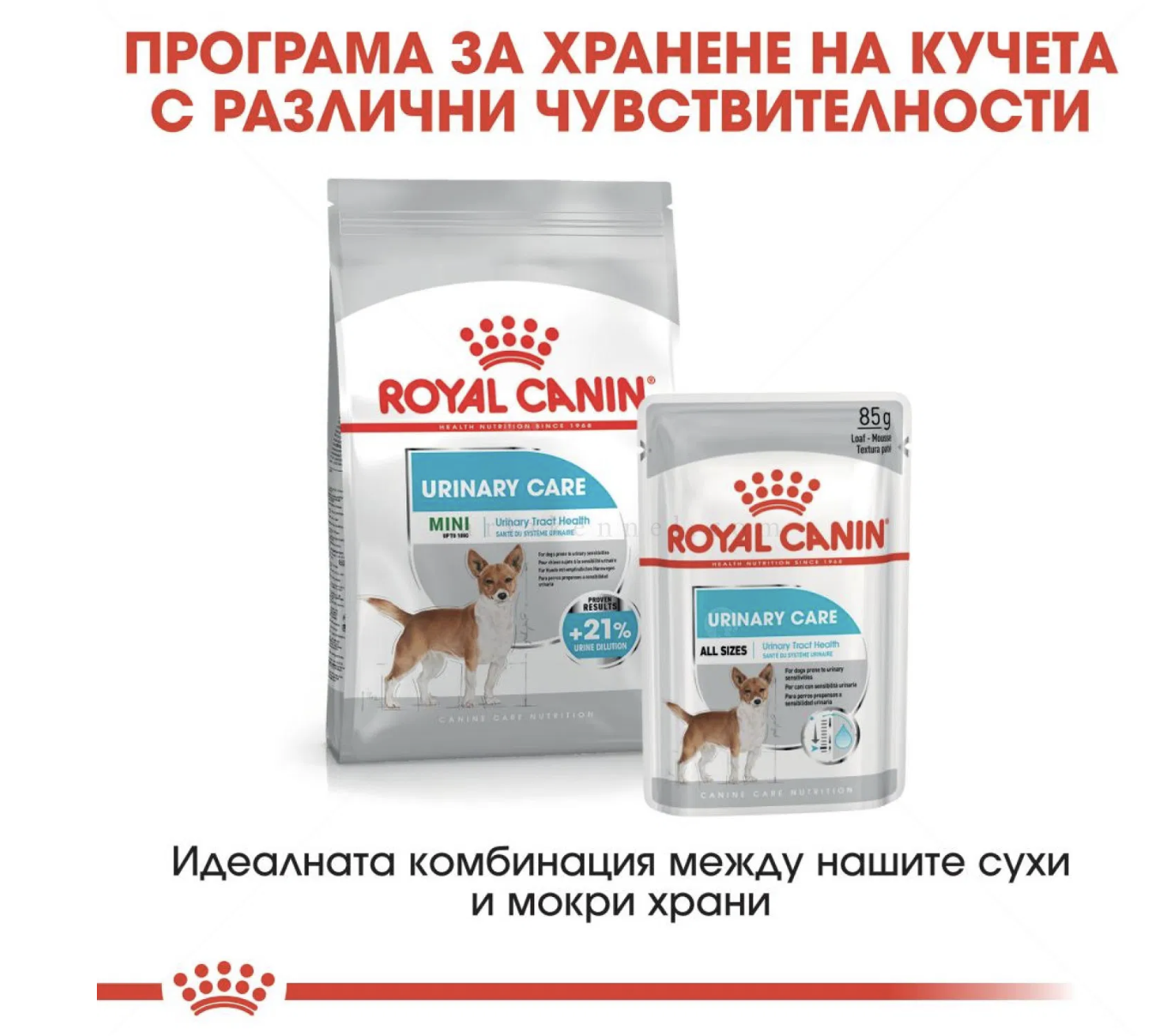 Screenshot 2026-02-17 at 21.50.26