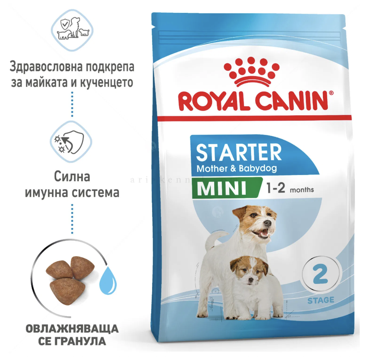 Screenshot 2026-02-17 at 21.55.18