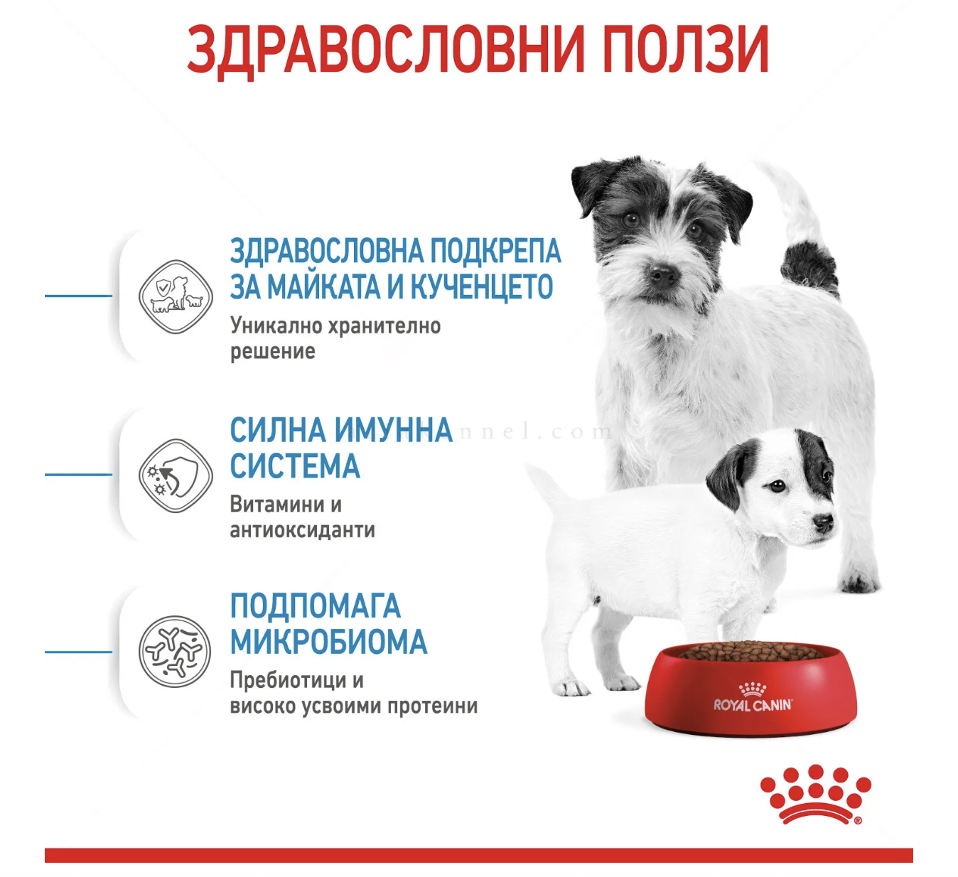 Screenshot 2026-02-17 at 21.56.20