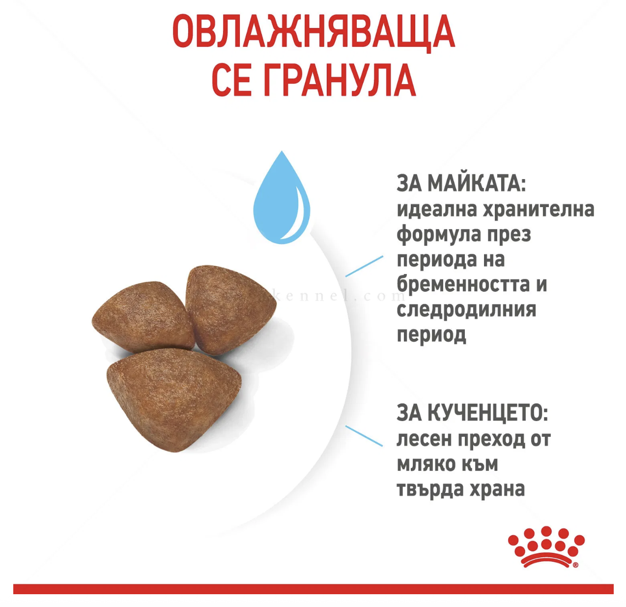 Screenshot 2026-02-17 at 21.56.35