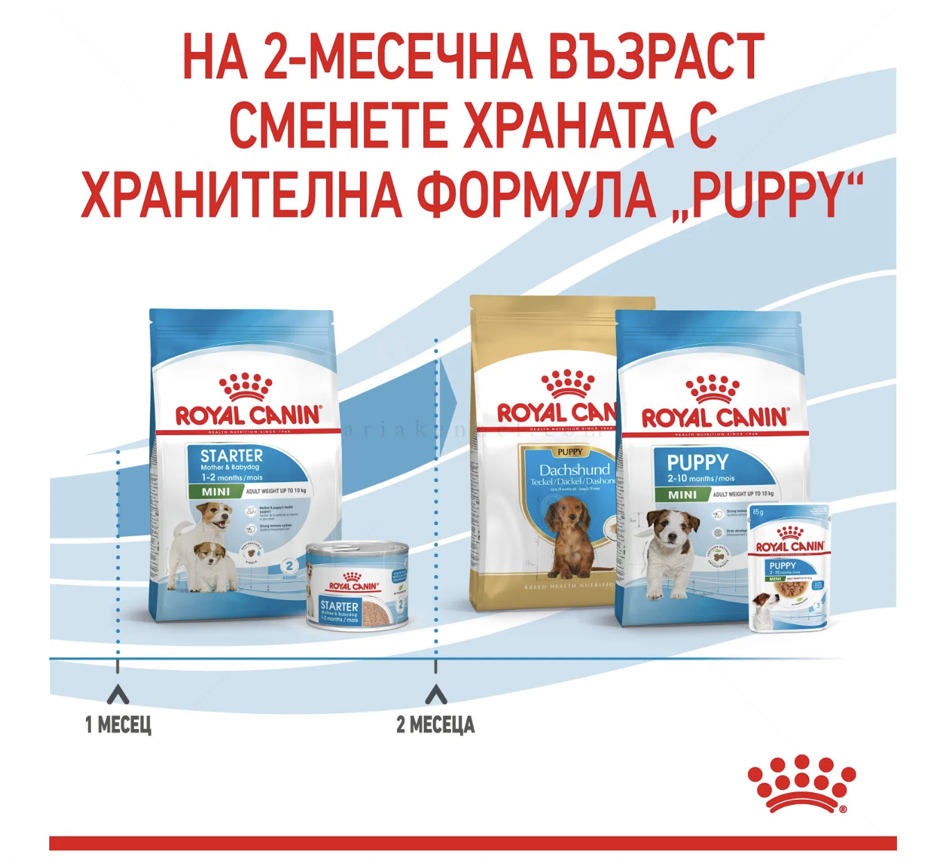 Screenshot 2026-02-17 at 21.56.49