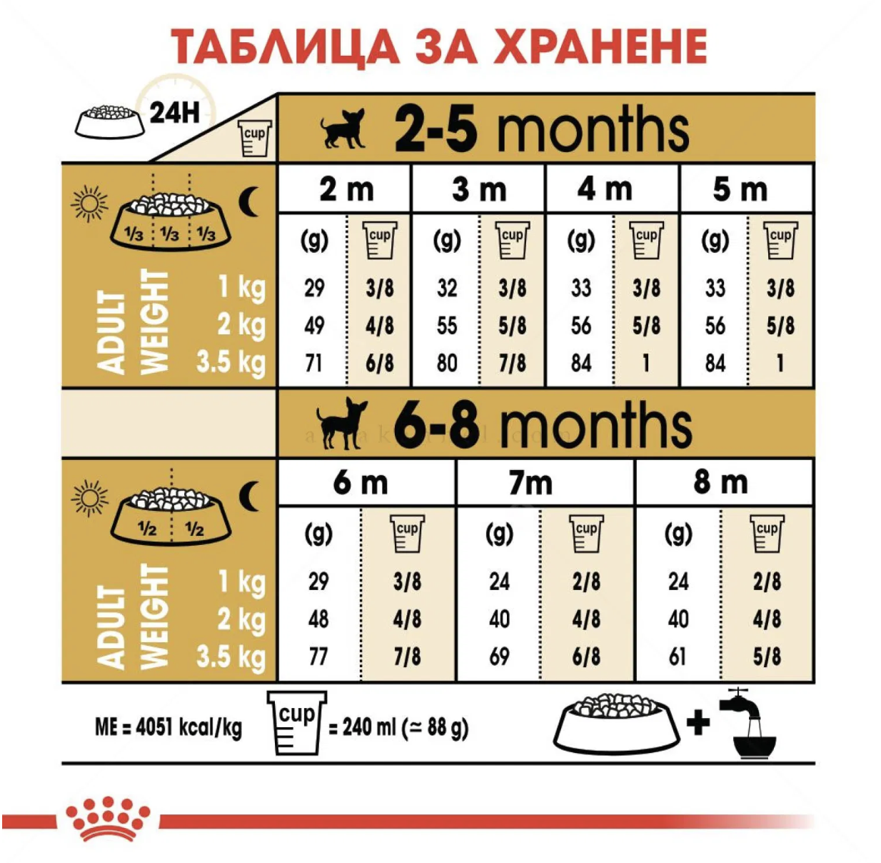 Screenshot 2026-02-17 at 22.09.38