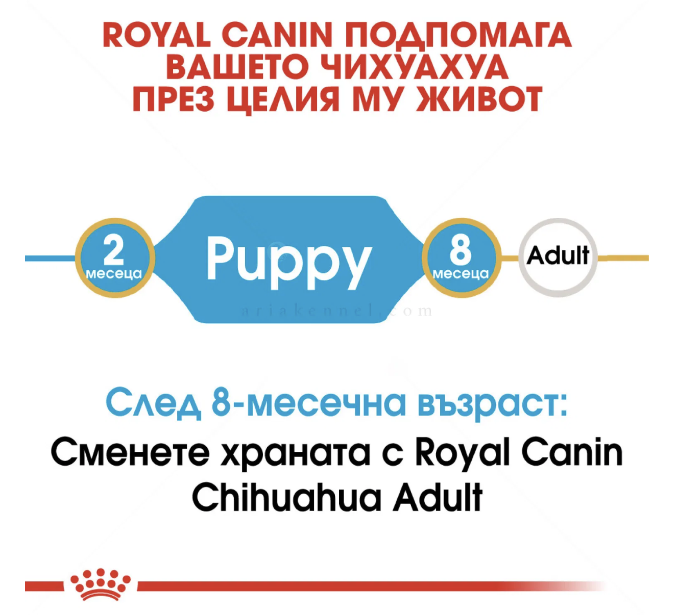 Screenshot 2026-02-17 at 22.10.01