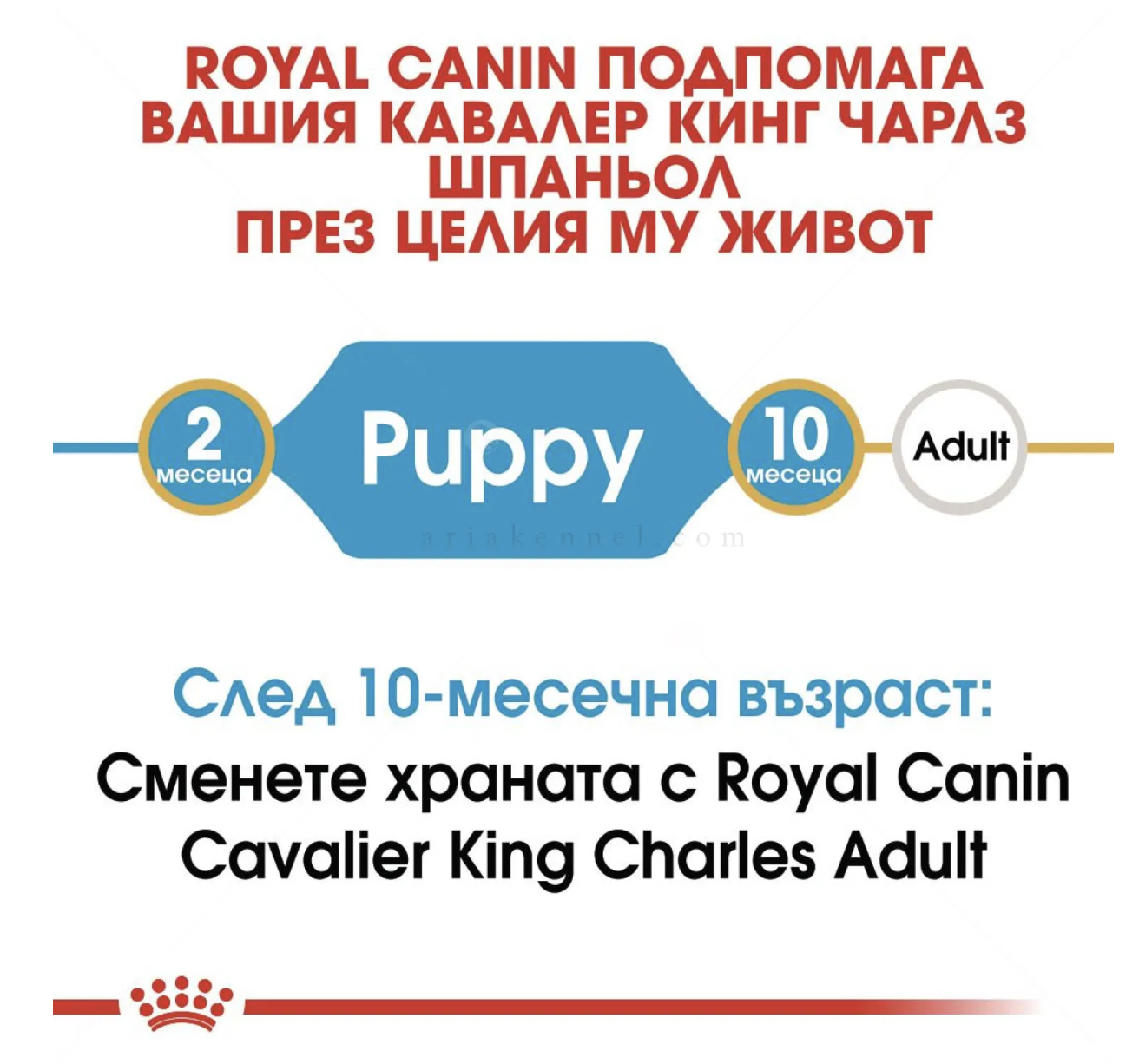 Screenshot 2026-02-17 at 22.33.16