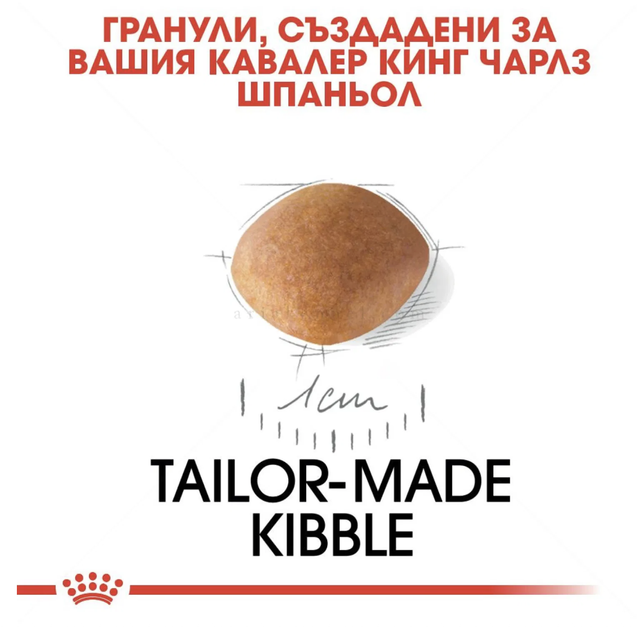 Screenshot 2026-02-17 at 22.33.29