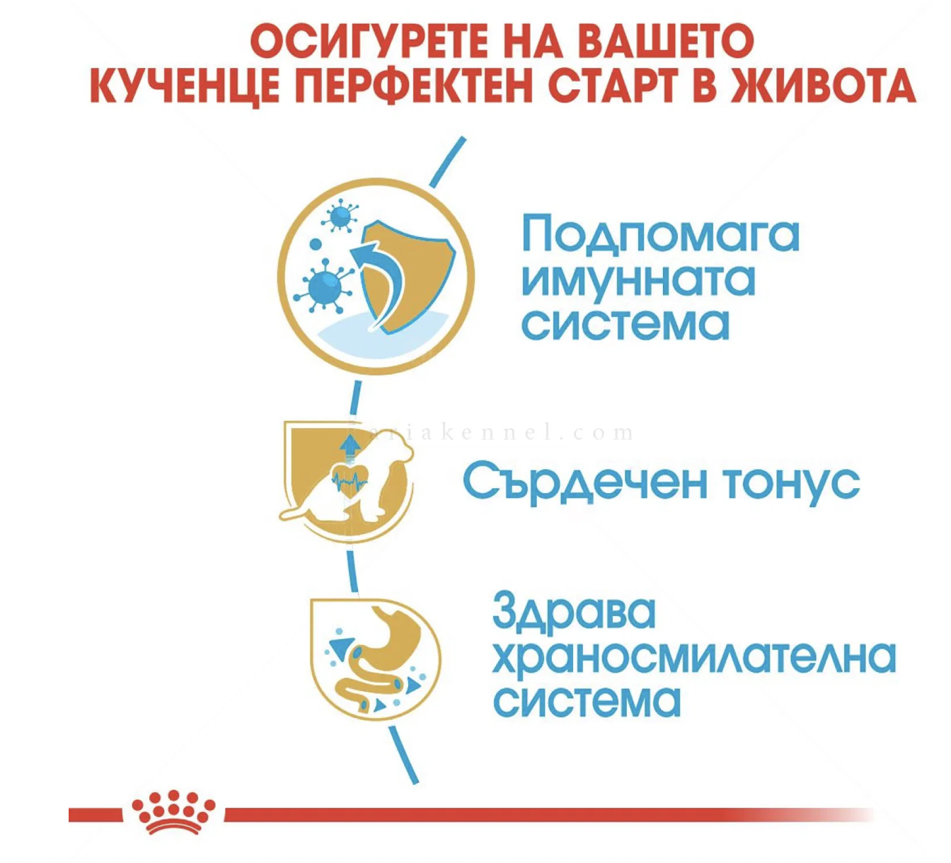 Screenshot 2026-02-17 at 22.33.52