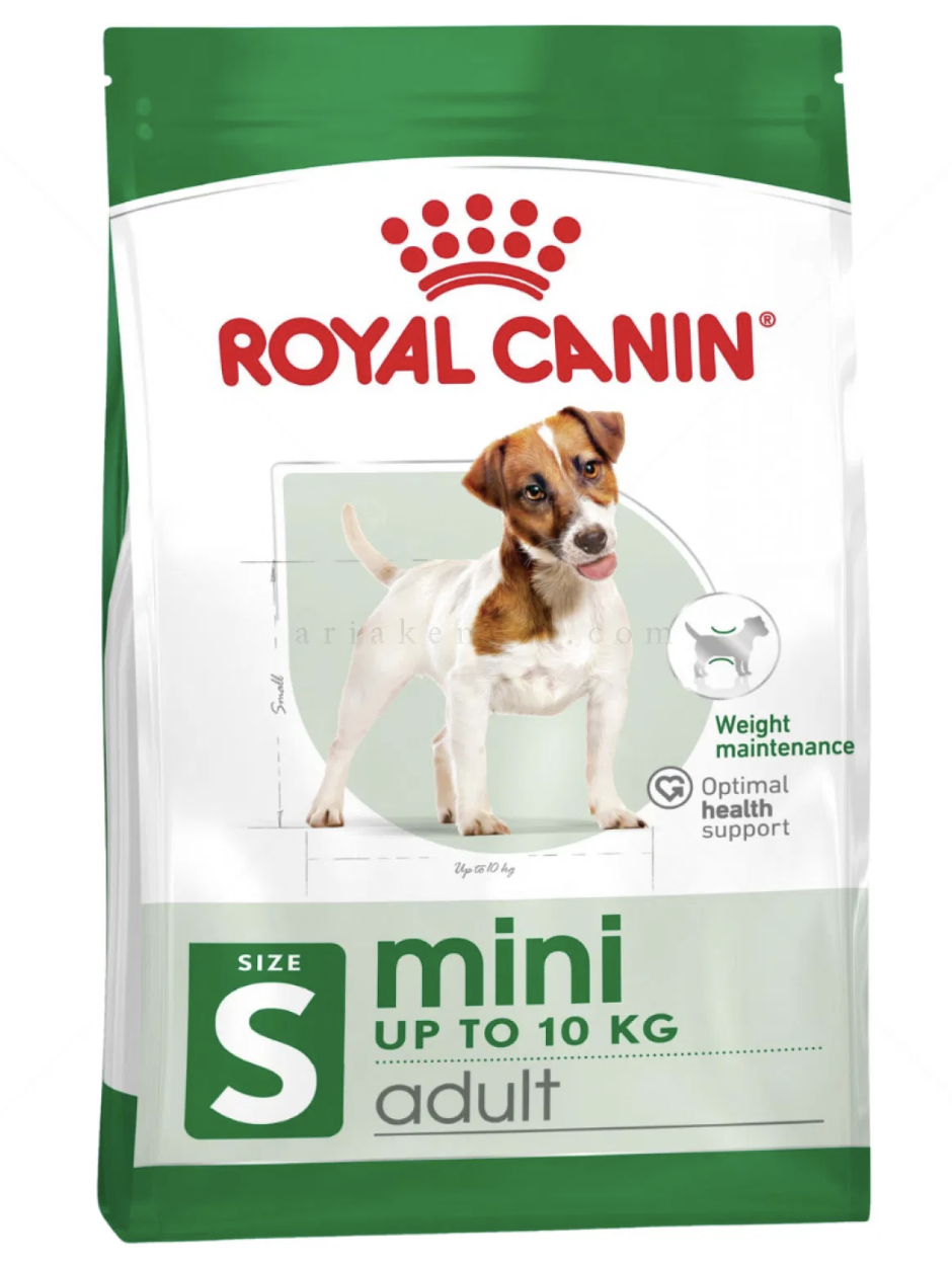 Screenshot 2026-02-19 at 0.31.38