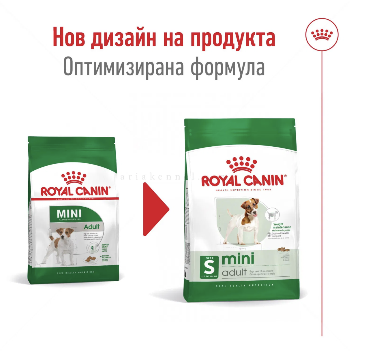 Screenshot 2026-02-19 at 0.31.55