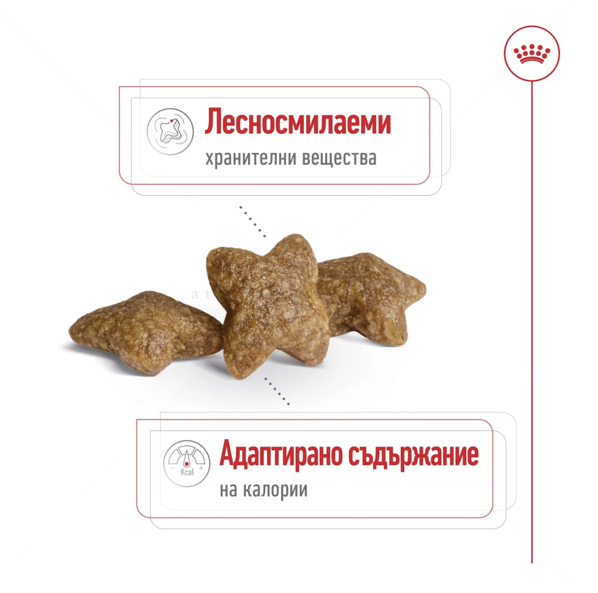 Screenshot 2026-02-19 at 0.32.21