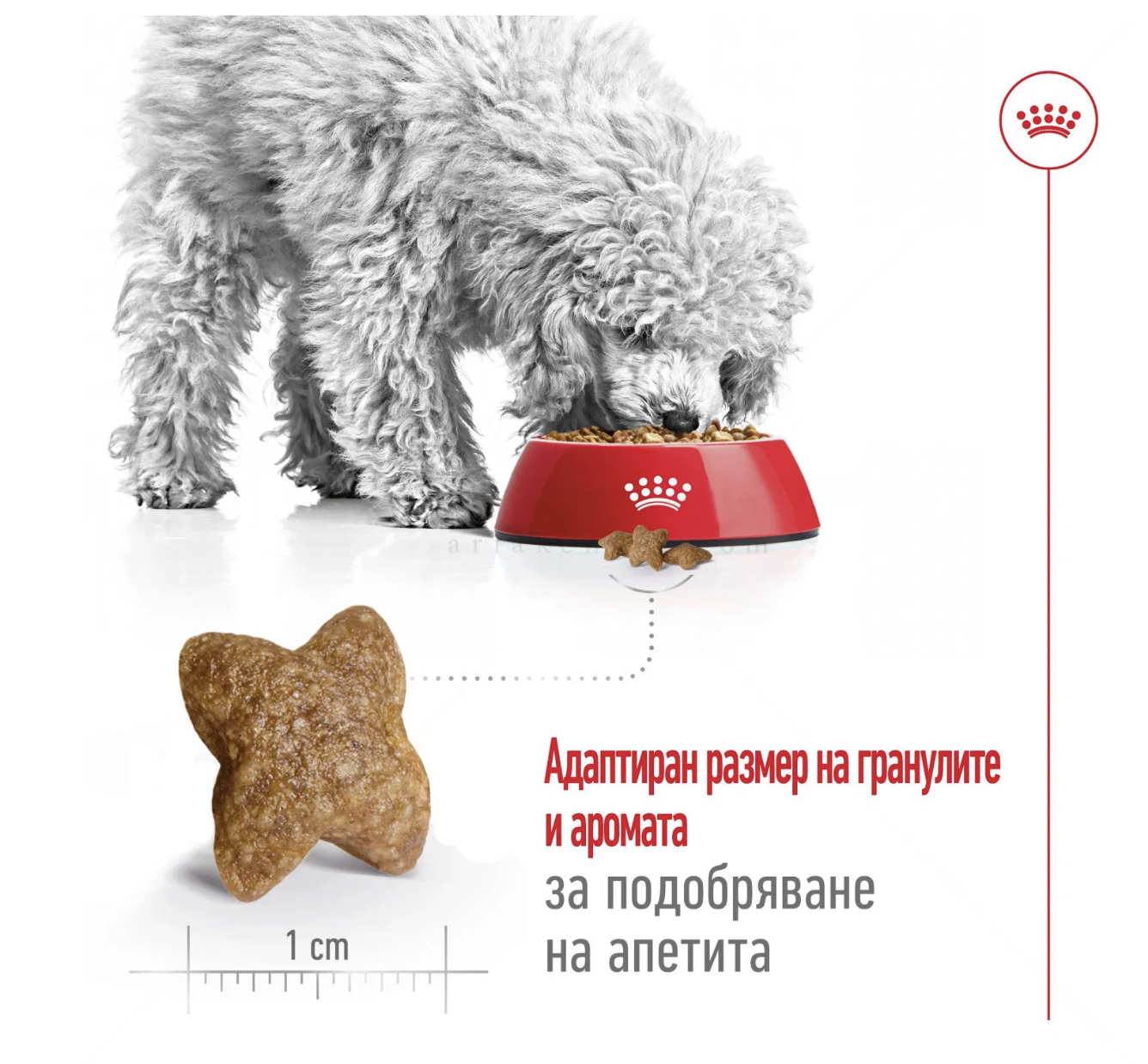 Screenshot 2026-02-19 at 0.32.36