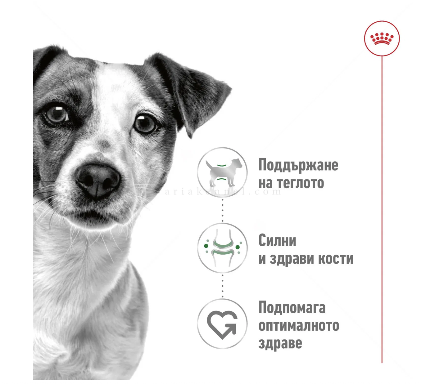 Screenshot 2026-02-19 at 0.32.48