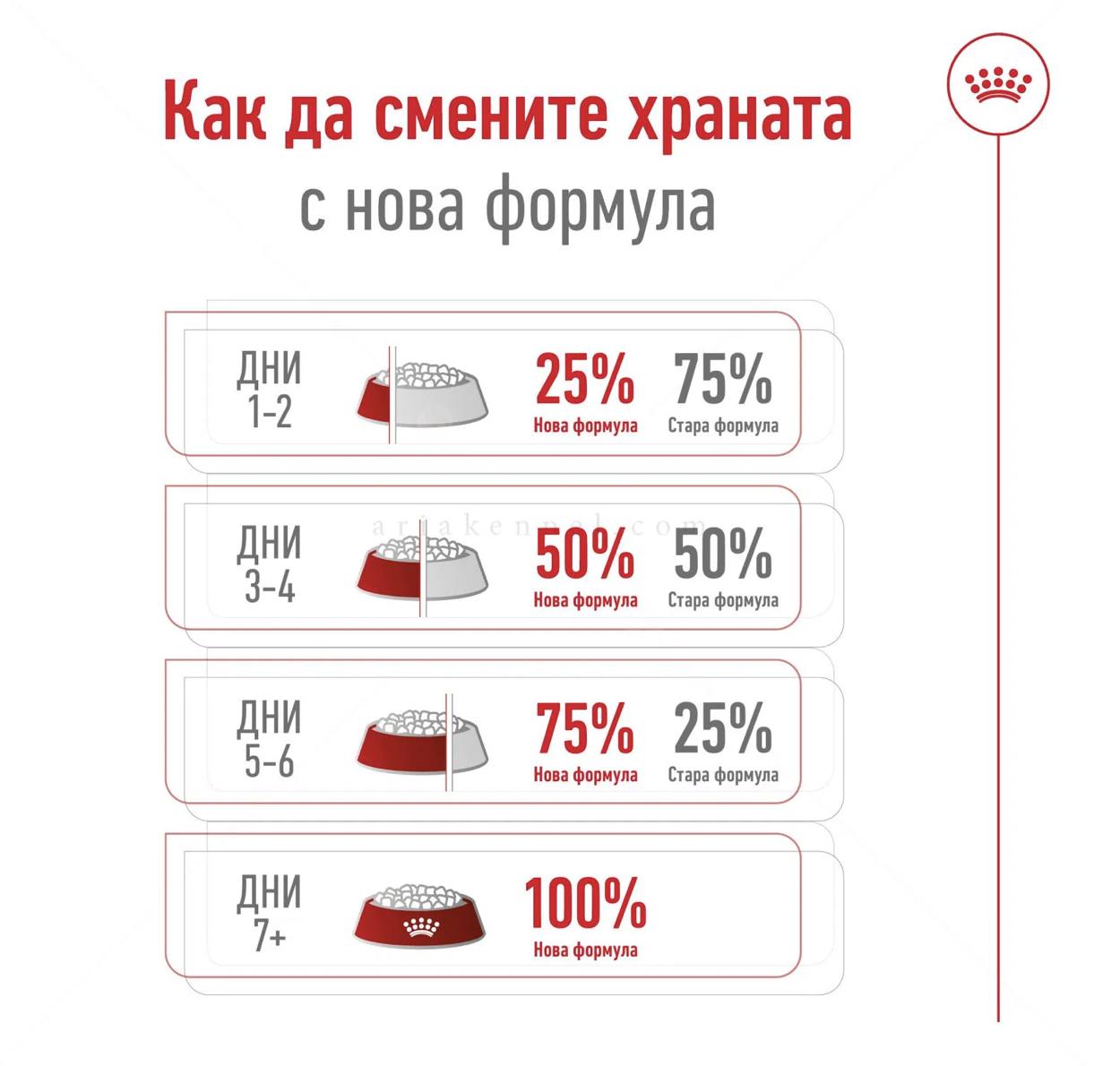 Screenshot 2026-02-19 at 0.33.25