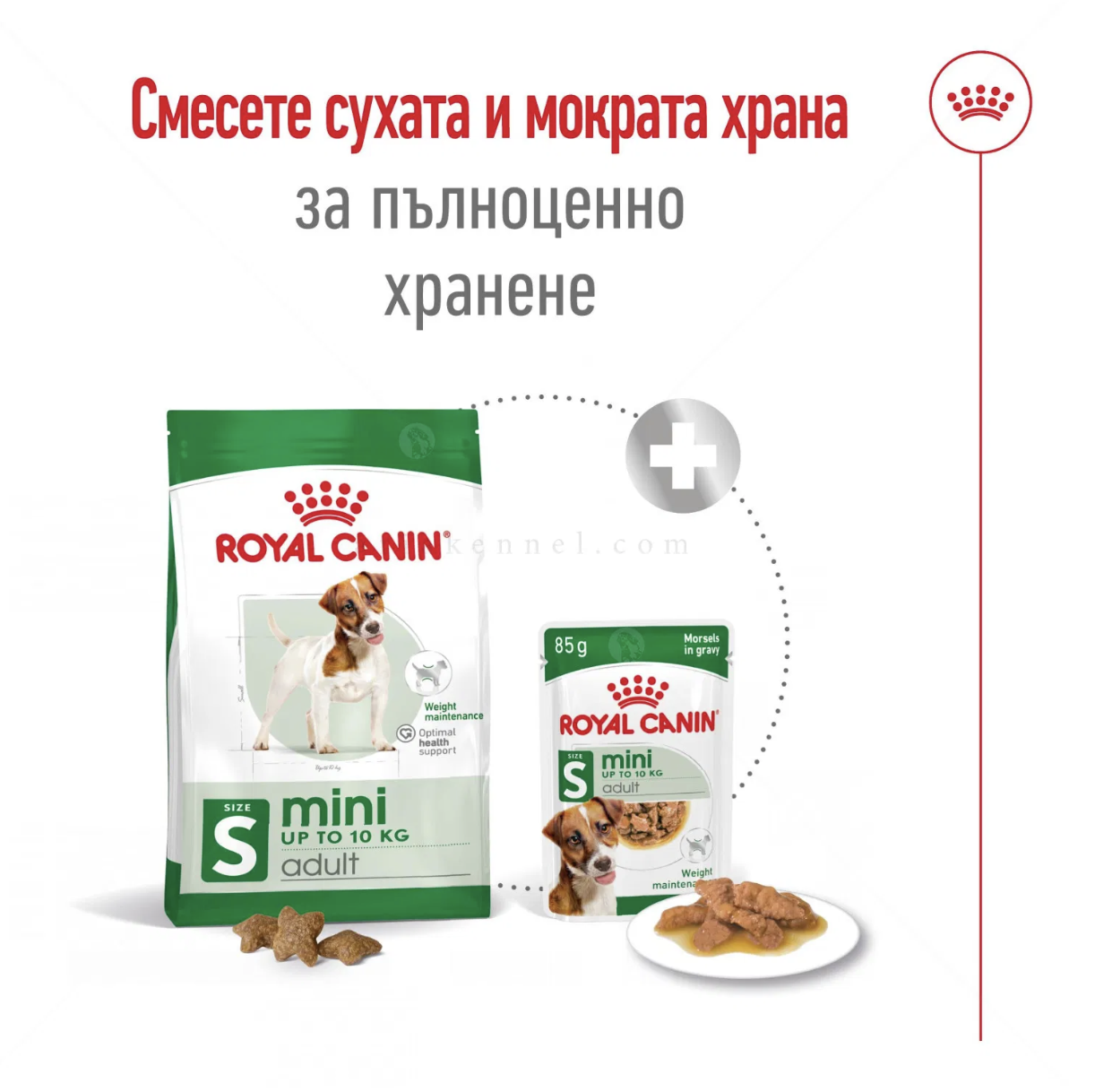 Screenshot 2026-02-19 at 0.33.38