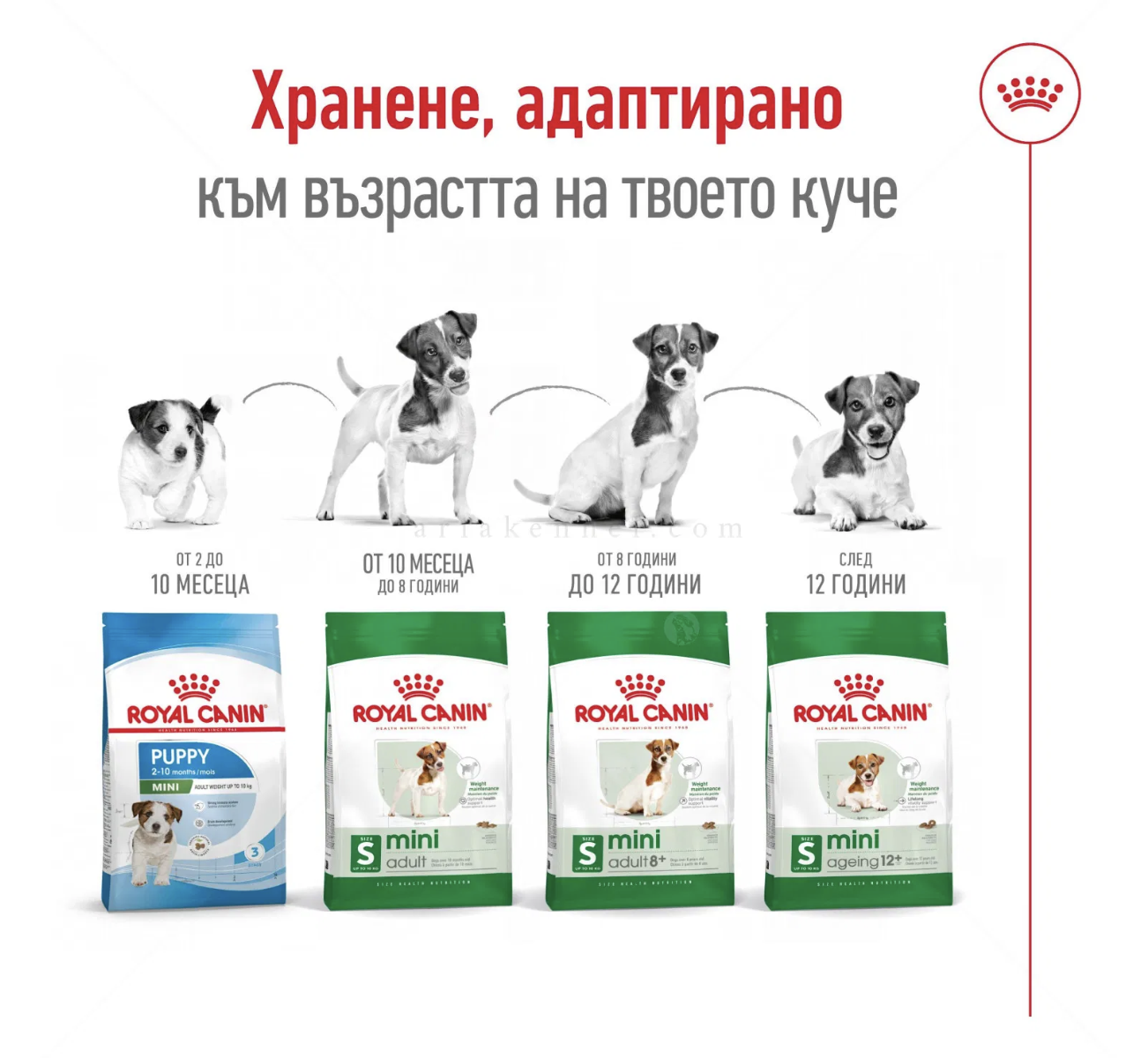 Screenshot 2026-02-19 at 0.34.02