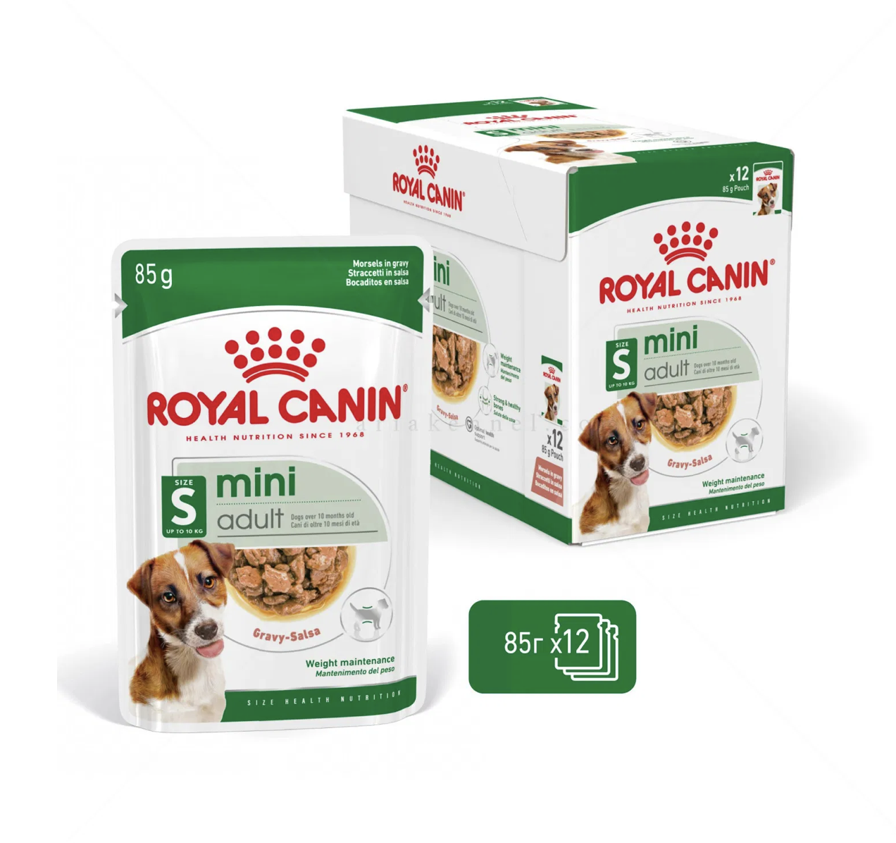 Screenshot 2026-02-21 at 22.37.05