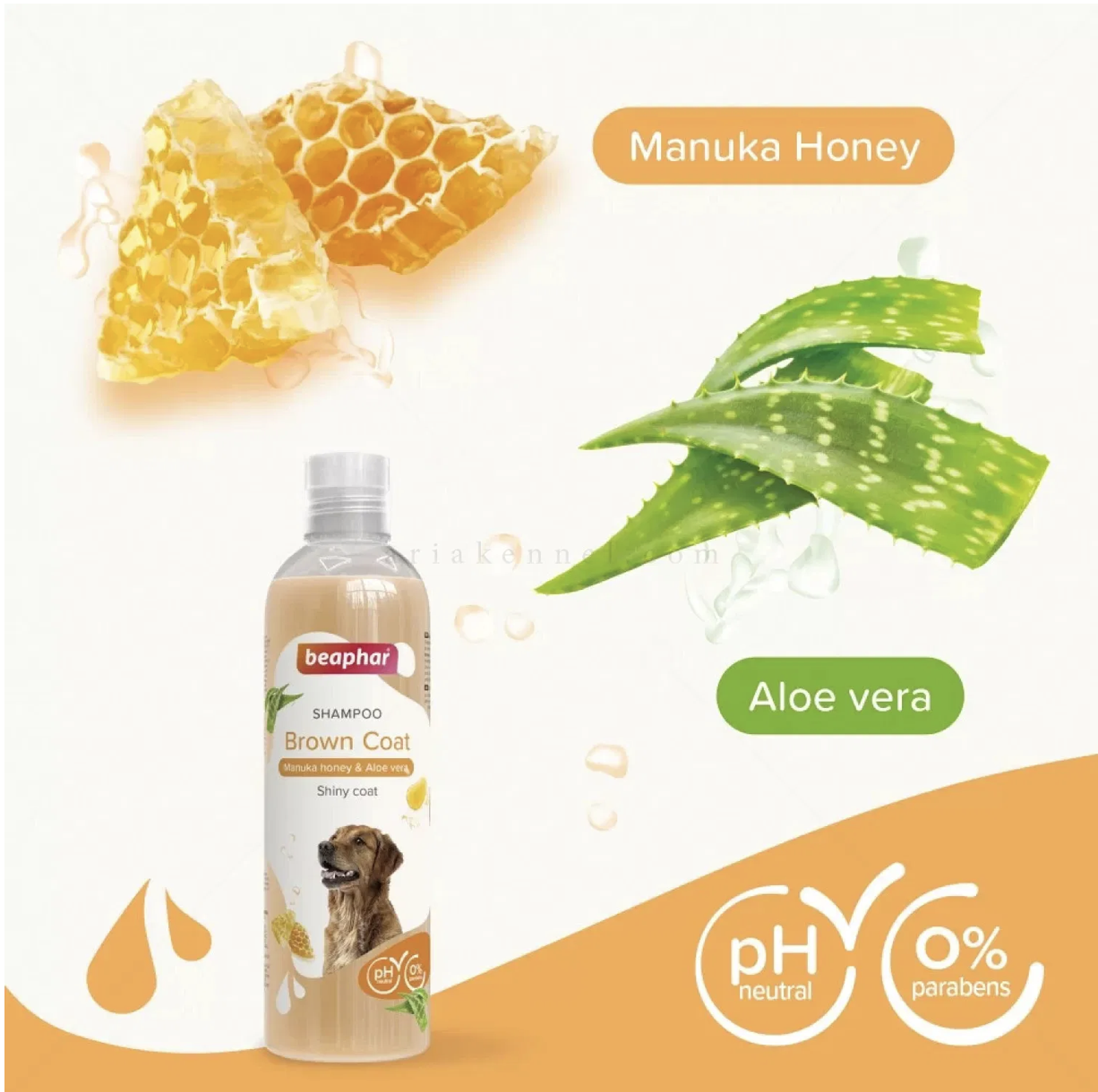 Screenshot 2026-02-23 at 22.43.20