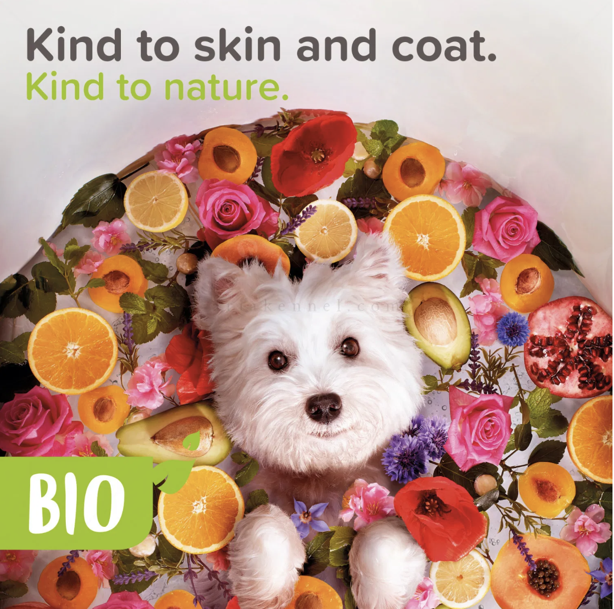 Screenshot 2026-02-23 at 22.48.21