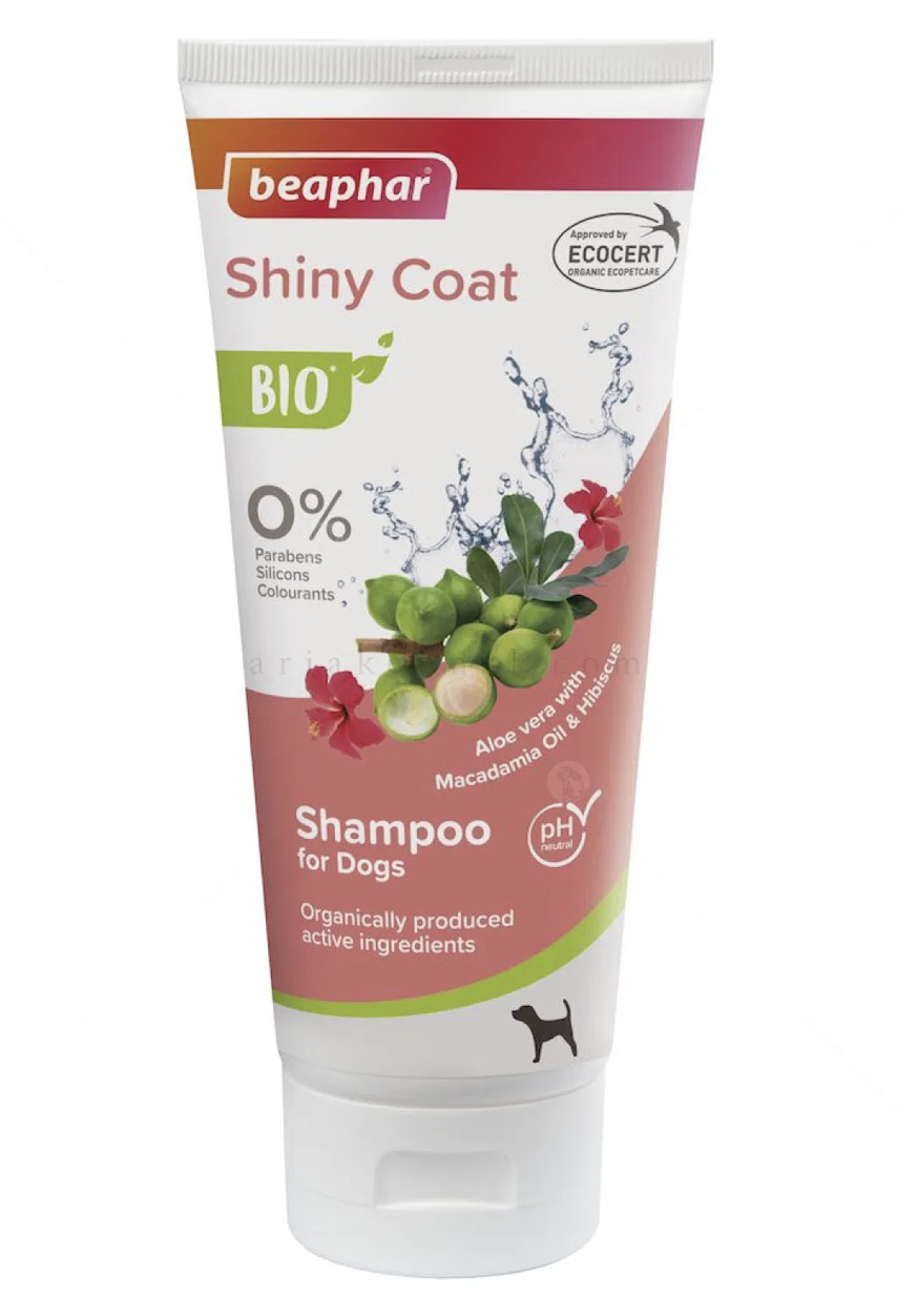 Screenshot 2026-02-23 at 22.51.32