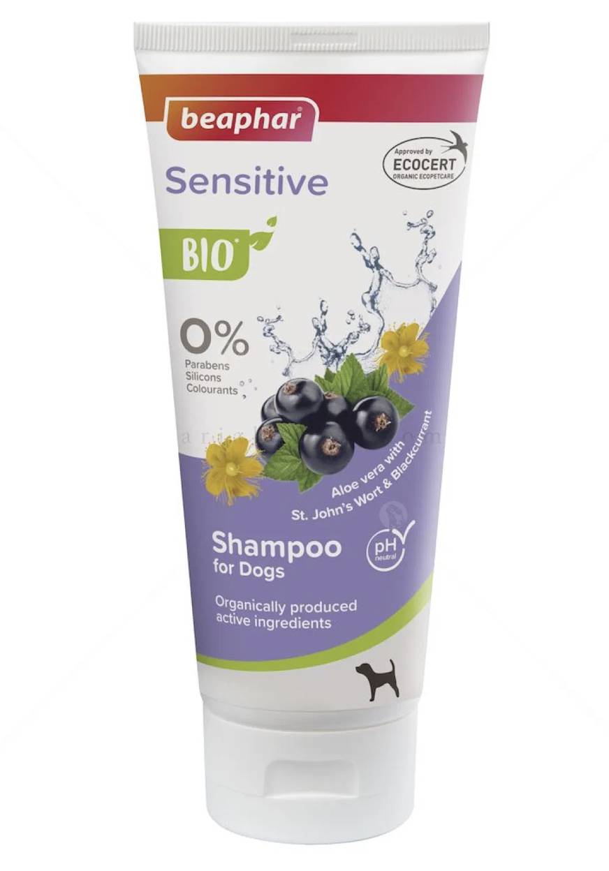 Screenshot 2026-02-23 at 22.54.31