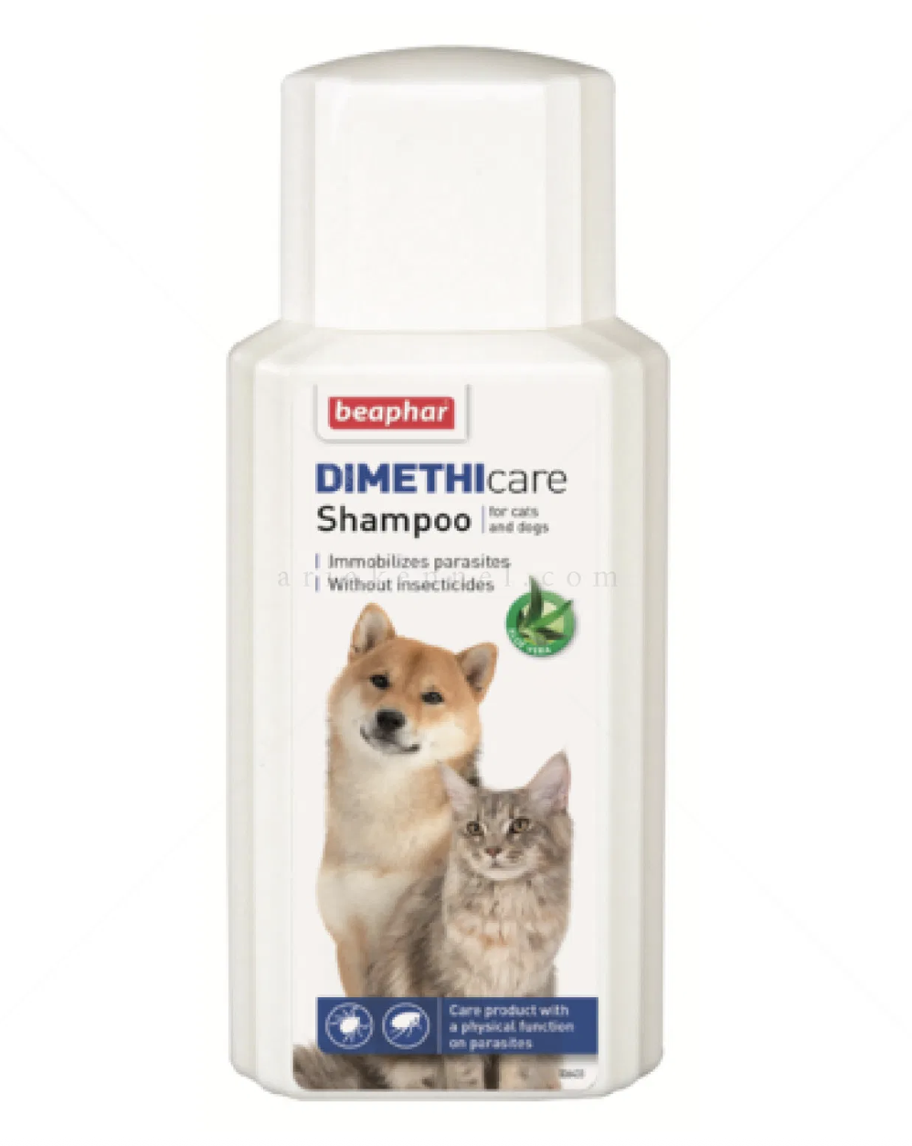 Screenshot 2026-02-23 at 23.07.40